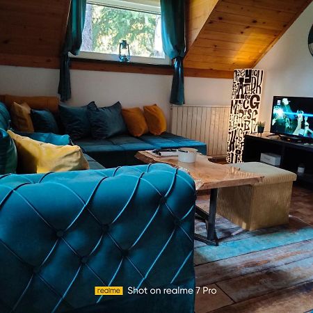 Vila Jezerski Raj Borsko Jezero エクステリア 写真