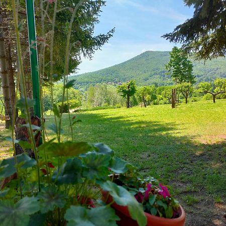 Vila Jezerski Raj Borsko Jezero エクステリア 写真